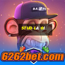 stud là gì