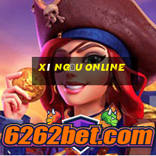 xí ngầu online