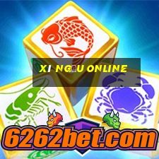 xí ngầu online