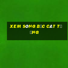 xem sòng bạc cát tường