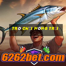 trò chơi nông trại