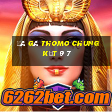 đá gà thomo chung kết 9 7