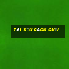 tài xỉu cách chơi