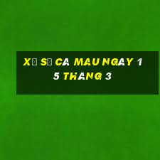 xổ số cà mau ngày 15 tháng 3