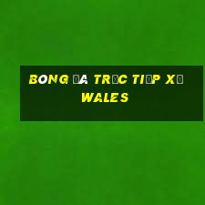 bóng đá trực tiếp xứ wales