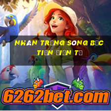 nhãn trắng sòng bạc tiền điện tử