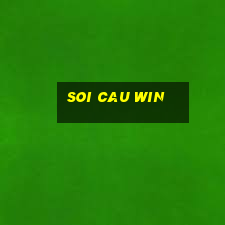 soi cau win