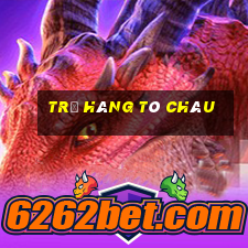 trả hàng tô châu