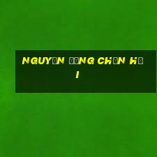 Nguyễn Đặng Chấn Hải