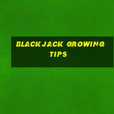 blackjack growing tips