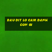 dau dit lo cam danh con gi