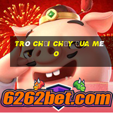 trò chơi chạy đua mèo