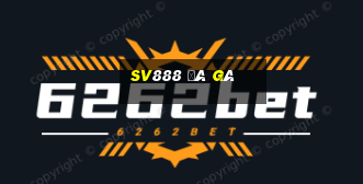 sv888 đá gà