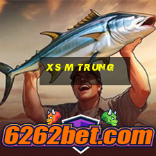 xs m trung