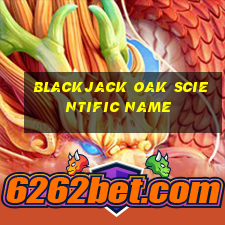 blackjack oak scientific name