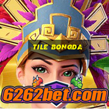 tile bongda