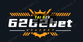 tai b29