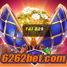 tai b29