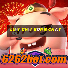 luật chơi bóng chày