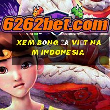 xem bóng đá việt nam indonesia