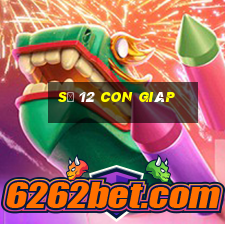 số 12 con giáp