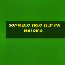 sòng bạc trực tiếp panaloko