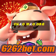 chào mào org