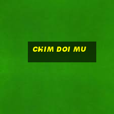 chim doi mu