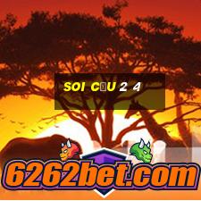 soi cầu 2 4