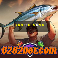 ioc đắk nông