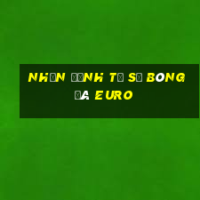 nhận định tỷ số bóng đá euro