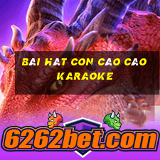 bài hát con cào cào karaoke