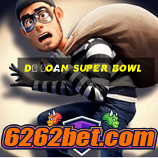 Dự đoán Super Bowl