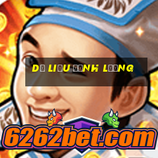 dữ liệu định lượng