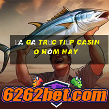 đá gà trực tiếp casino hôm nay