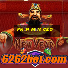 Phần mềm ceo