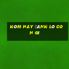 hôm nay đánh lô con gì