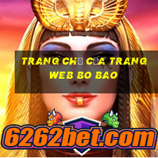 Trang chủ của trang web Bo Bao