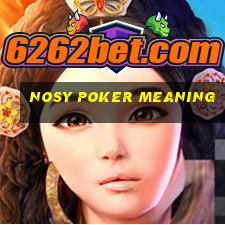 nosy poker meaning