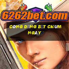 công dụng bột chùm ngây