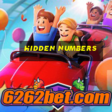 hidden numbers