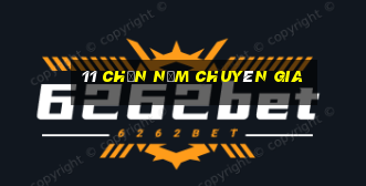 11 Chọn năm chuyên gia